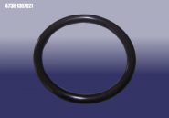 Кольцо уплотнительное насоса водяного Chery Tiggo (T11). Артикул: 473H-1307021